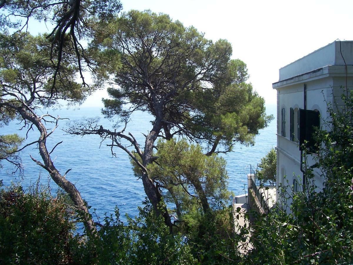 Sun'S Homes "Red" Portofino Kültér fotó